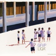 the ghent folk violin project gfvp liqua