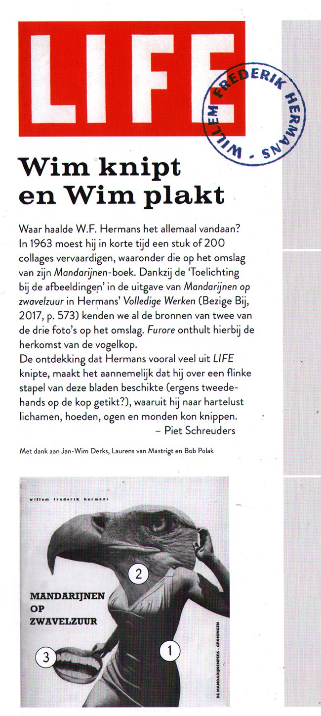 wim knipt, wim plakt