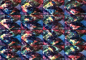 hols stempelkunst 27 jan 18