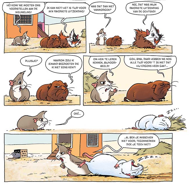 een nieuwe cavia