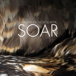soar