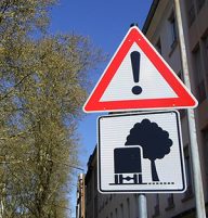 trier, bomen en straten