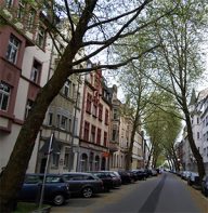 bomen in trier