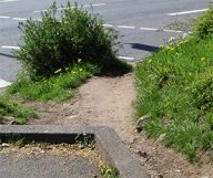 olifantenpaadjes in trier