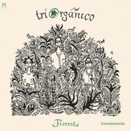 triorganico, zuidamerikaanse minimal worldfusion