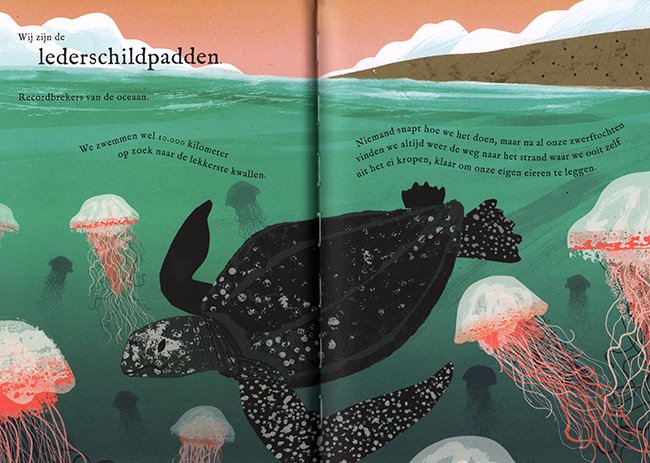 de lederschildpadden de lederschildpadden
