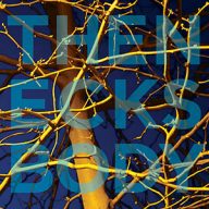 the necks body