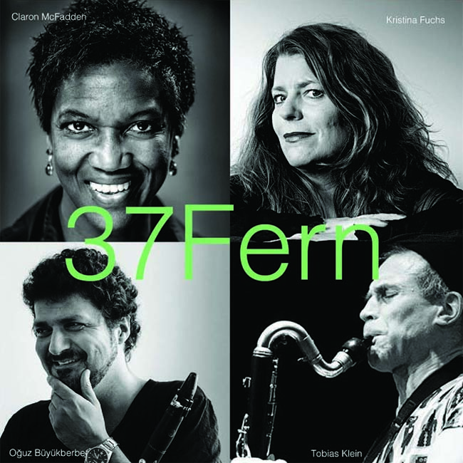 37 Fern