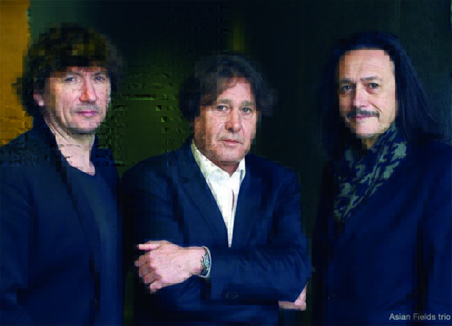 asian fields trio