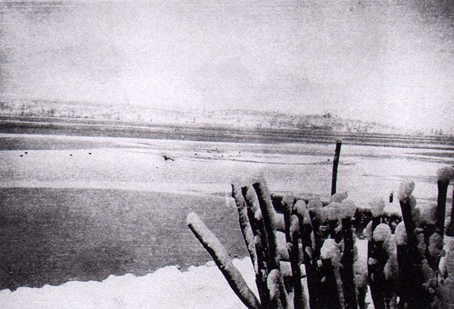 foto foto