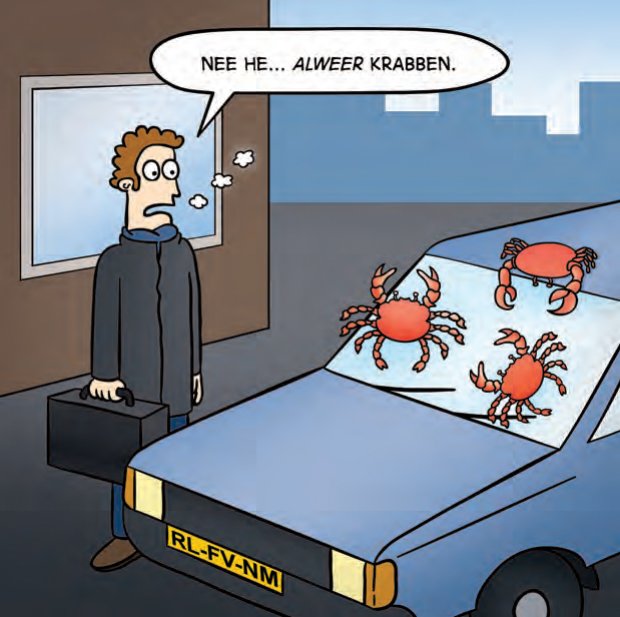 krabben