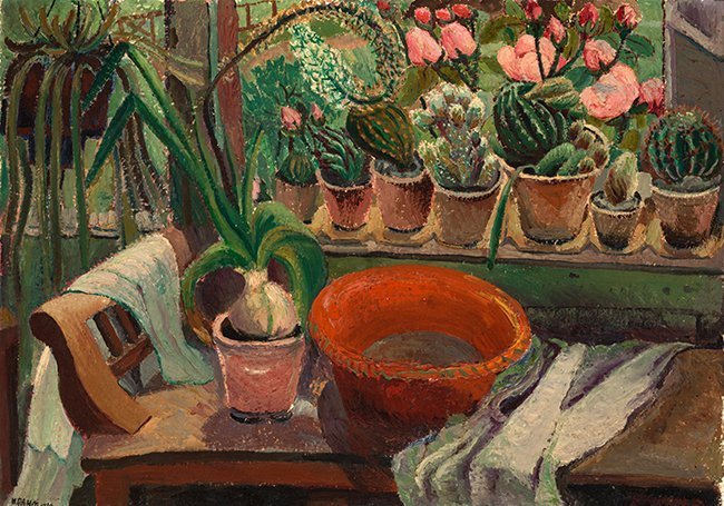 raam met cactussen raam met cactussen