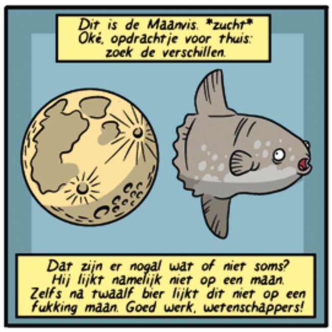  de maanvis