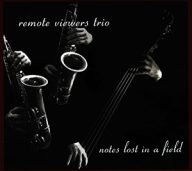remote viewers trio notes lost in a field