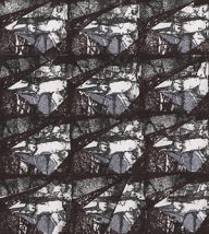 holly’s stempelkunst augustus 2019 nummer 15a
