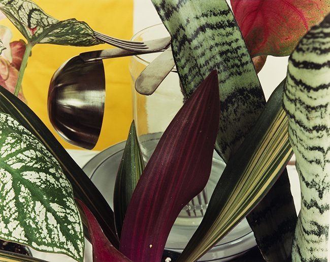 Jan Groover, Untitled Jan Groover, Untitled