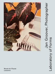 jan groover photographer laboratory of forms