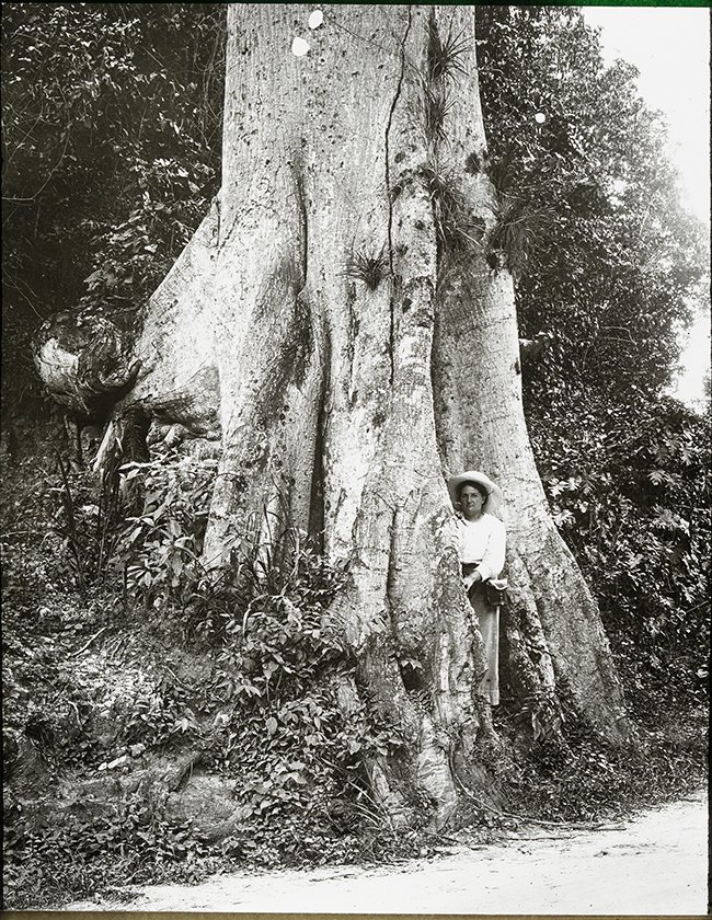Jamaica