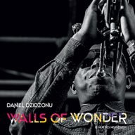 daniel dzidzonu walls of wonder