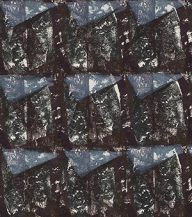 holly’s stempelkunst maart 2020 nummer 6