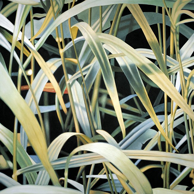 gras