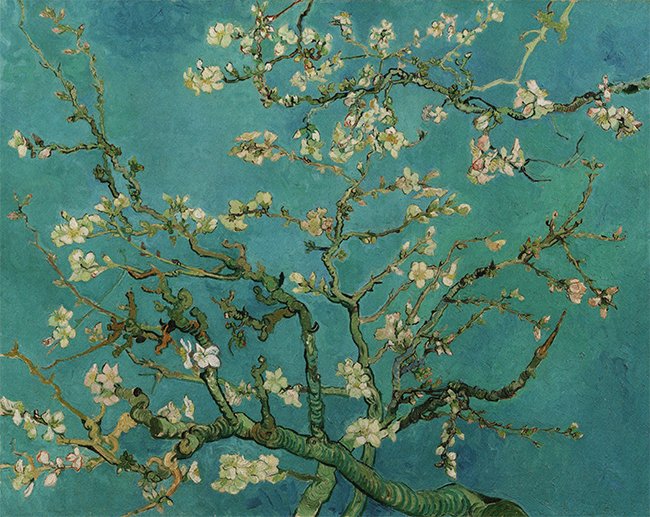 van Gogh van Gogh