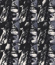 holly’s stempelkunst juni 2020 nummer 22