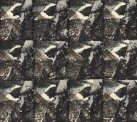 holly’s stempelkunst augustus 2020 nummer 20a