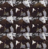 holly’s stempelkunst september 2020 nummer 17