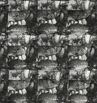 holly’s stempelkunst november 2020 nummer 31