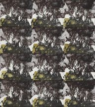 holly’s stempelkunst november 2020 nummer 23c