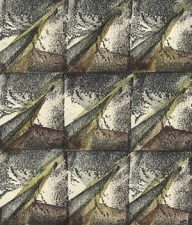 holly’s stempelkunst november 2020 nummer 27b