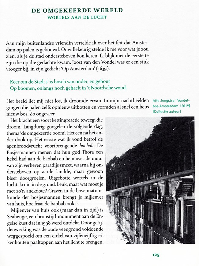 wortels aan de lucht