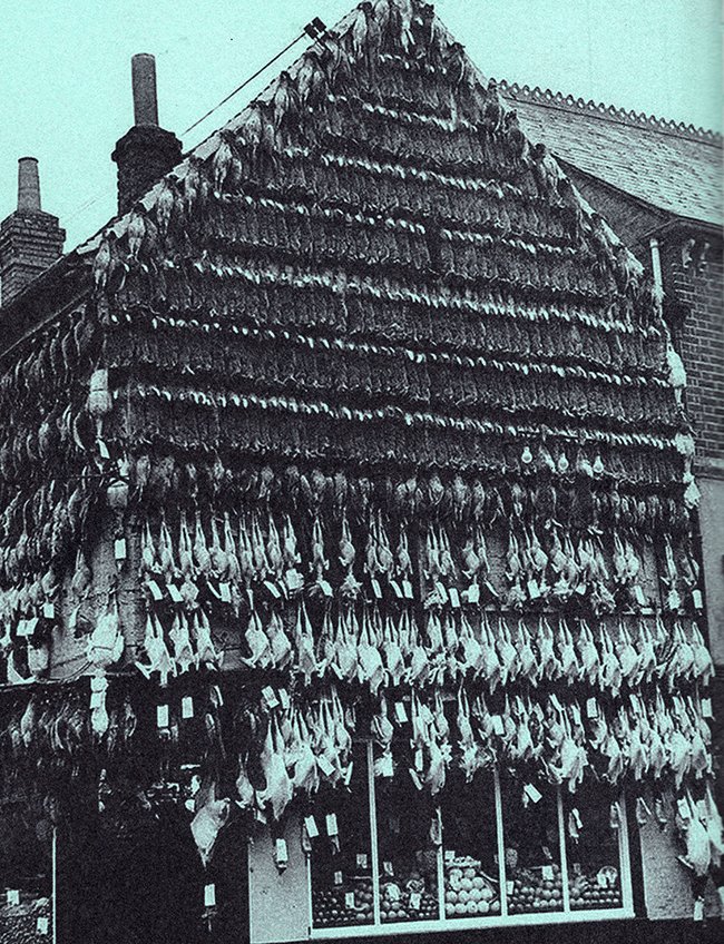 slagerswinkel