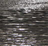 rimpelingen op het water
