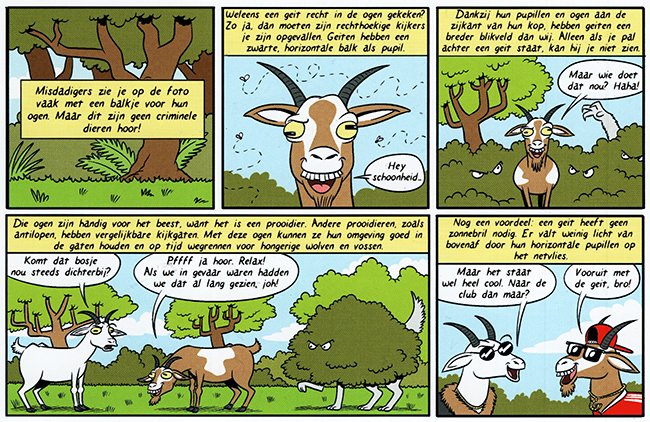 bijzondere ogen