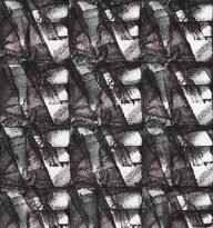 holly’s stempelkunst januari 2021 nummer 15a