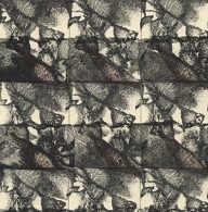 holly’s stempelkunst januari 2021 nummer 30a