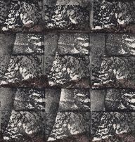 holly’s stempelkunst februari 2021 nummer 23a