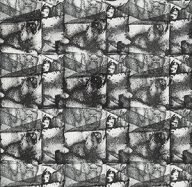 holly’s stempelkunst februari 2021 nummer 24