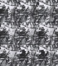 holly’s stempelkunst maart 2021  nummer 2