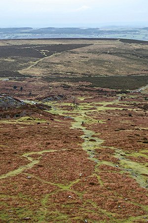 Moors Moors