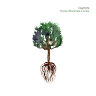 osa7029 roots branches cones