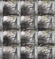 holly’s stempelkunst april 2021 nummer 8a