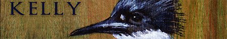 kingfisher kingfisher