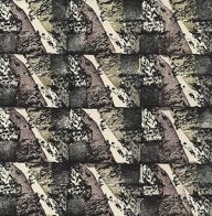 holly’s stempelkunst mei 2021 nummer 14a