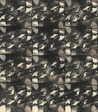 holly’s stempelkunst mei 2021 nummer 18b