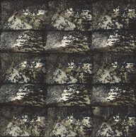 holly’s stempelkunst mei 2021 nummer 22a