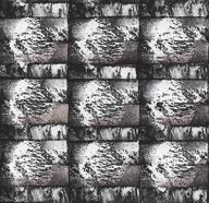 holly’s stempelkunst mei 2021 nummer 5