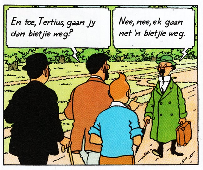 tertius sonneblom